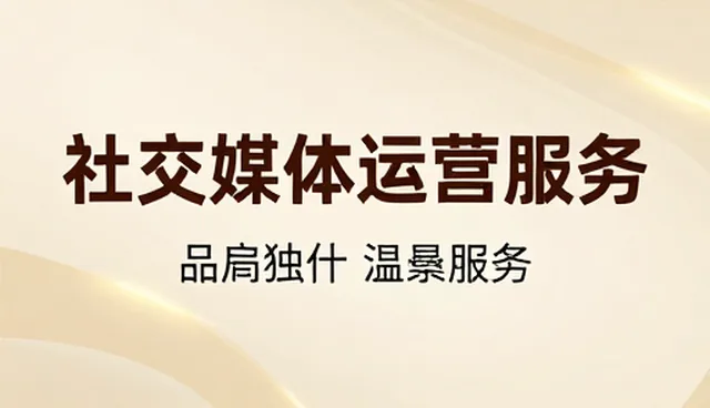 网络传播服务在品牌推广中的性能与适用场景分析